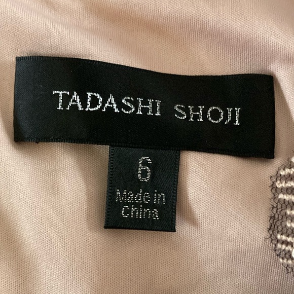 Tadashi Shoji Fitted Lace V Neck Party Dress Womens Size 6 Tan Cocktail Evening - Picture 7 of 10